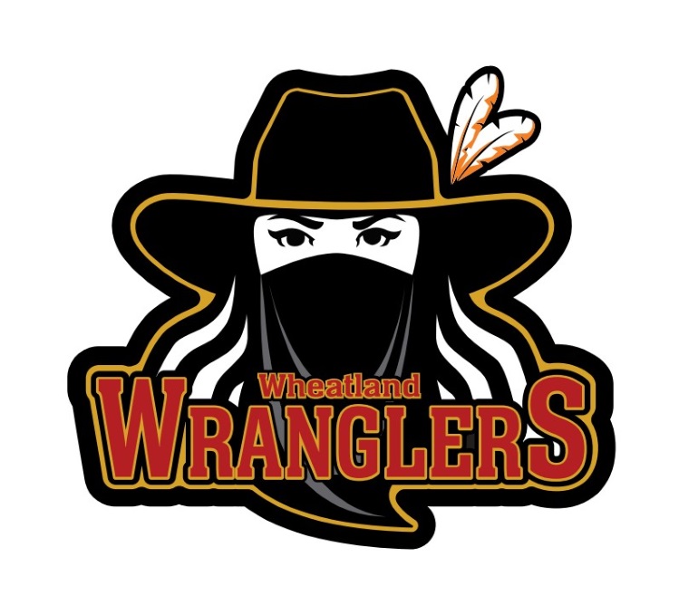 Brand new girls' hockey league coming to Wheatland County